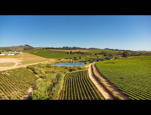 94HA FARM FOR SALE IN STELLENBOSCH FARMS
